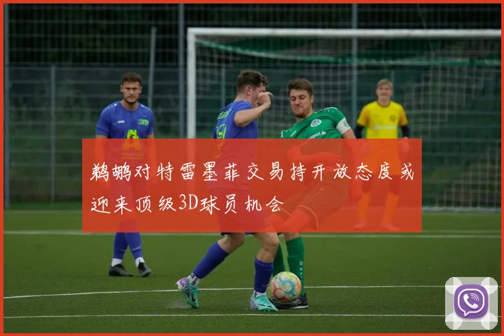 鹈鹕对特雷墨菲交易持开放态度或迎来顶级3D球员机会