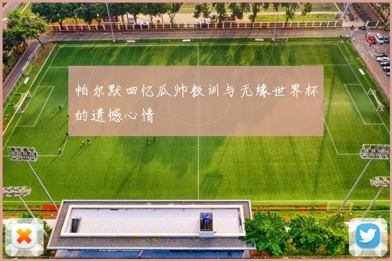 帕尔默回忆瓜帅教训与无缘世界杯的遗憾心情